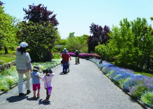 宇治市植物園内にて散歩